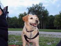 photos 2000-200902776